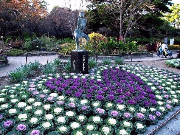 Интересные и веселые картинки