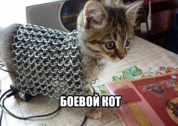 Мохнатые беспредельщики