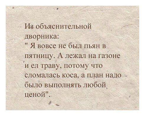 Картинки из интернетов