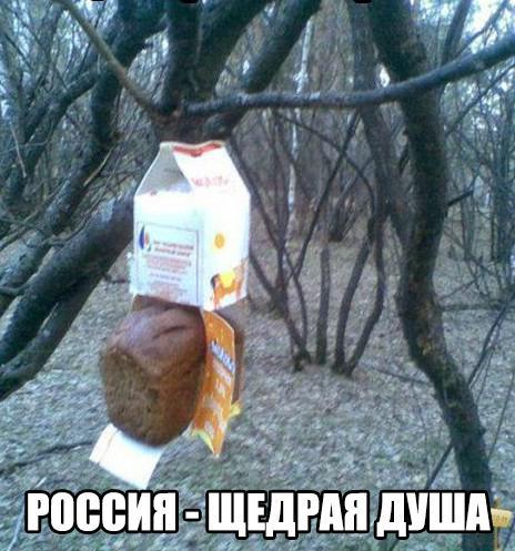 Подборка картинок