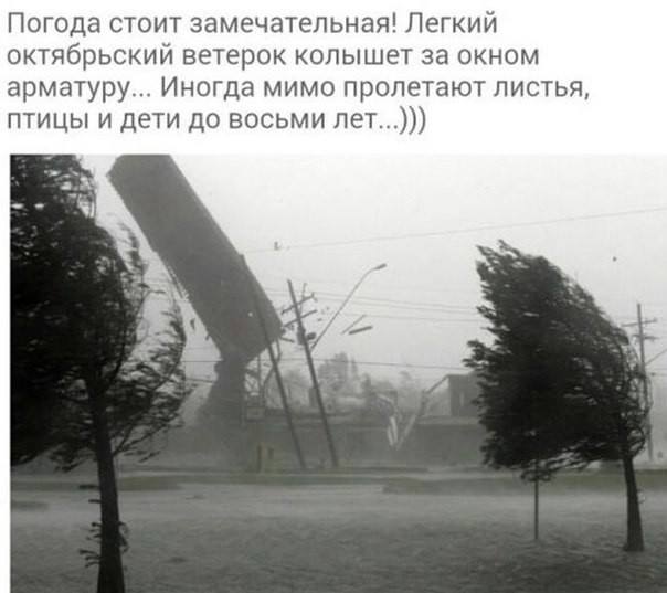 Сборище абсурда