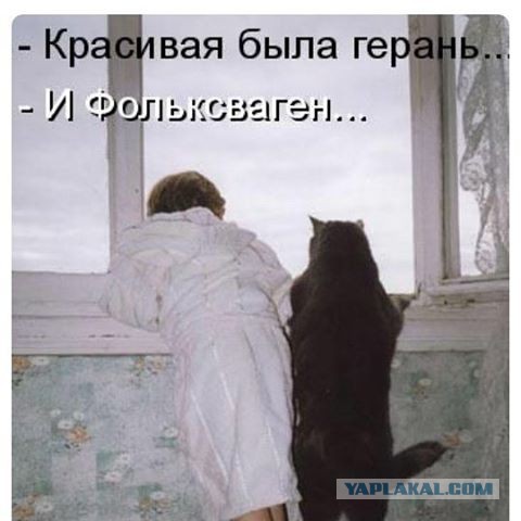 Смешные картинки из сети на 17.10.16