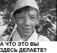 Wargaming 41