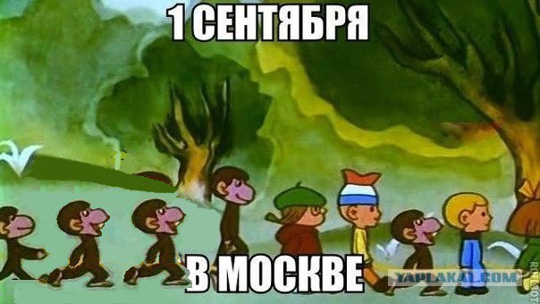 Порция картинок