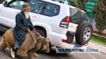 Подборка интересных и веселых картинок