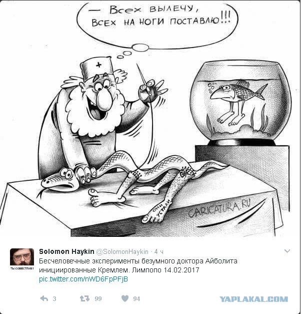 Подборка интересных и веселых картинок