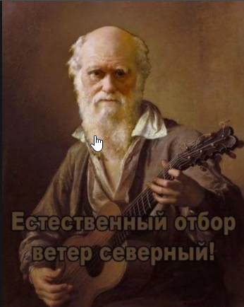 «Смотри как я могу» школьник погиб делая селфи