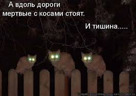 Караул после первого в жизни ужастика
