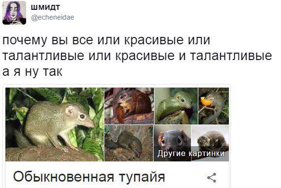 Подборка прикольных картинок