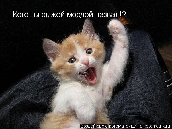 Обещанию исполнилось 5 лет