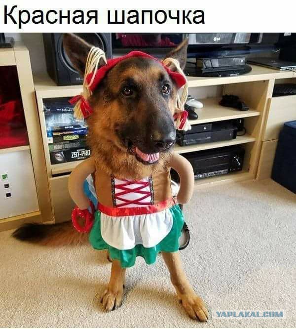 Давно мы не мизантропизировали...