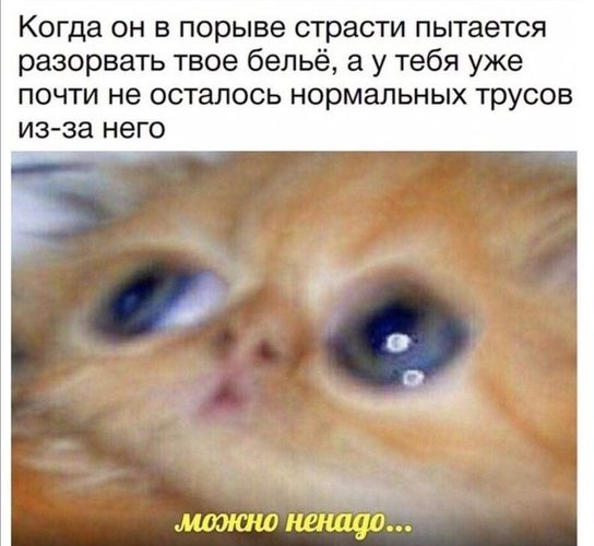 Бытие и сознание