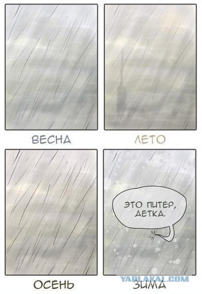 Иди, зарабатывай денег, говорили они...