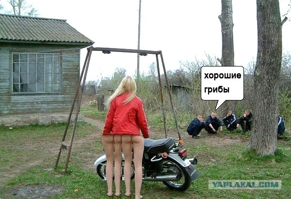 Как продать Яву в кризис  или сельский маркетинг