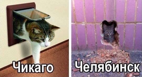 Картинки и мемы для настроения 26.05.2021