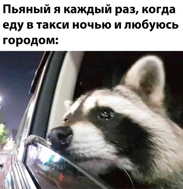 Пятница. И немного слегка пошлых картинок с надписями и без 16+ (13.08))