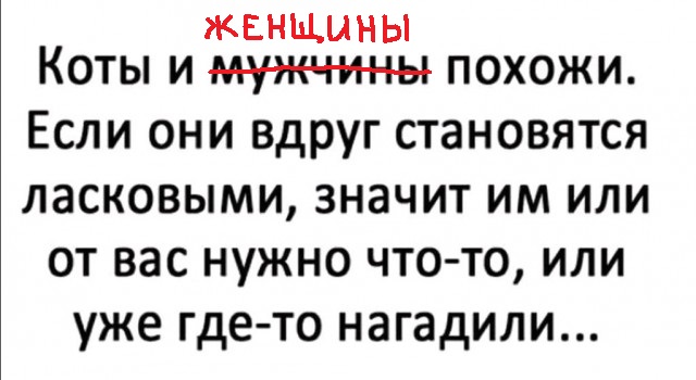 Картинки и мемы для настроения 17.08.2021