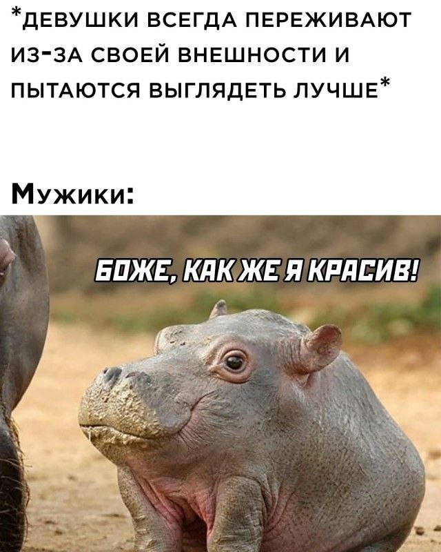Картинки для настроения