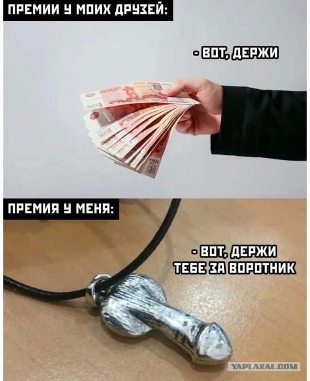 Всяческие картинки 27.12.2021