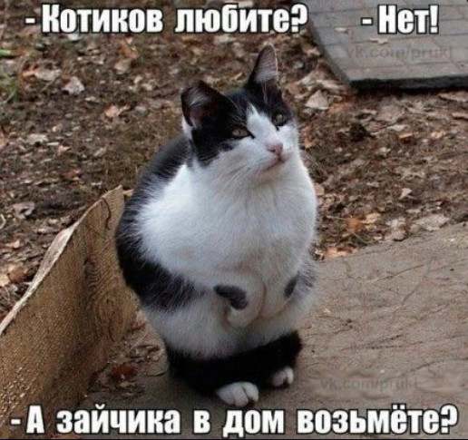 Улыбнись, не грусти!