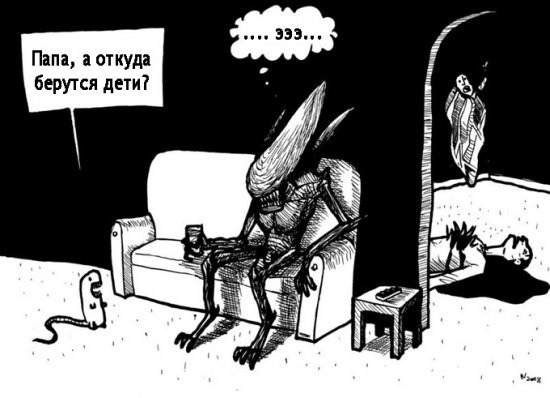 Аморалка Лайт