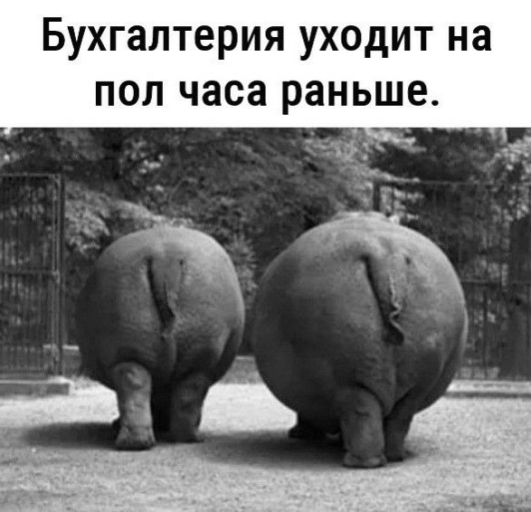 Танцы на корпоративе