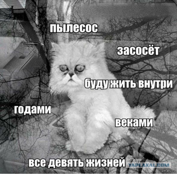 Есть ли на Япе нормальные женщины?