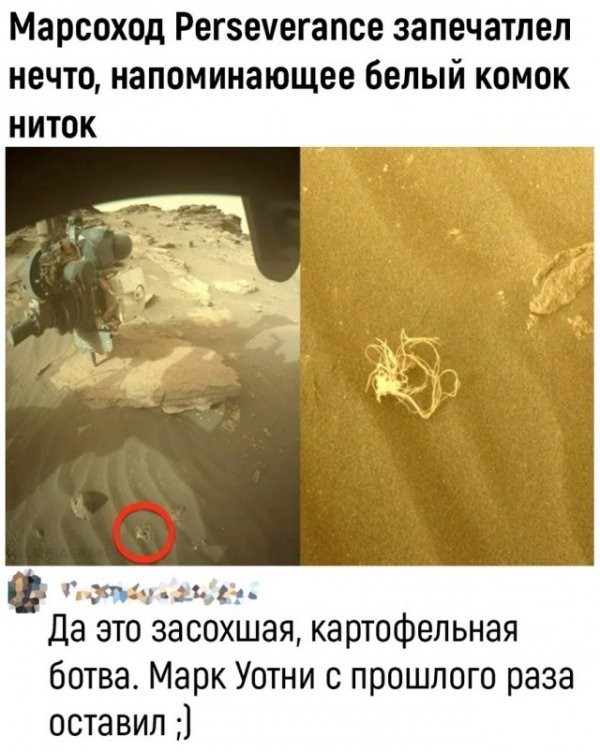 Скриншоты и комментарии из социальных сетей 27.07.22