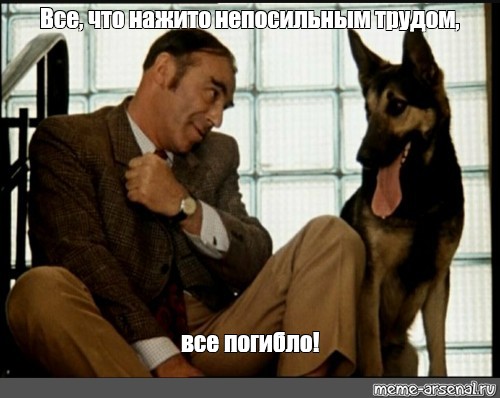 Контрабандисты пытались вывезти 225 килограммов золота на 800 миллионов рублей из Внукова в Дубай. Их задержали прямо в самолёте.