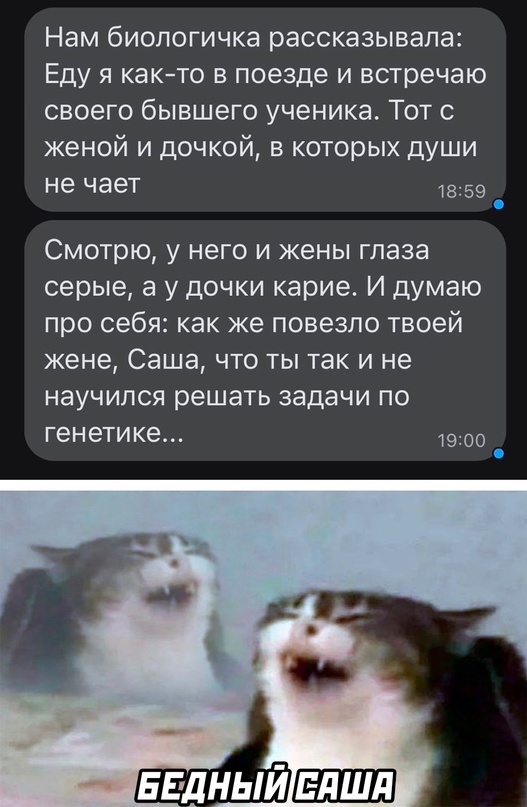Картинки и мемы для настроения - 009