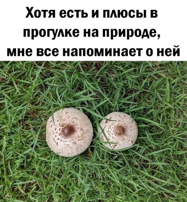 Картинки и мемы. Выходные близко...