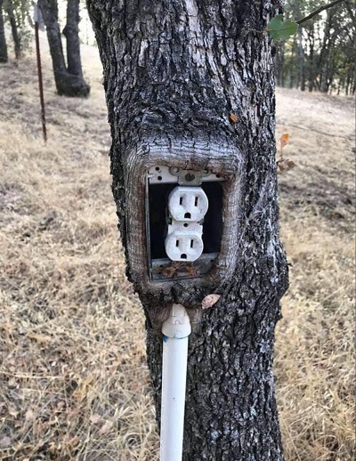 Куда ни глянь, везде эти рожи