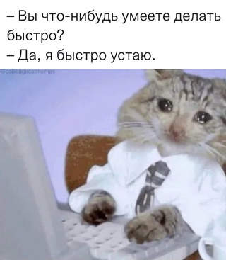 Немного картинок для настроения 07.03.2023
