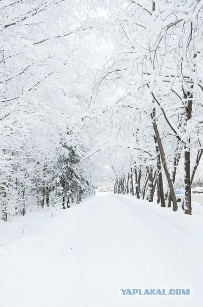 Весна в Перми