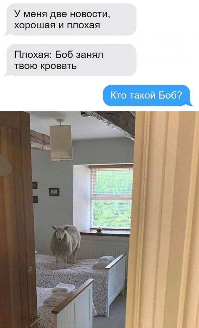 Картинки и мемы, всем хороших выходных