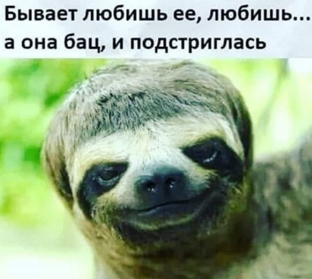Подборка самых баянистых баянов! Ностальгируем...