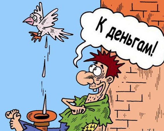 Чуток картинок 25.05.23