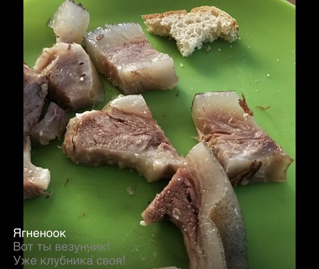 Хорошо иметь домик в станице