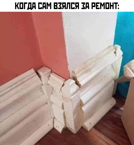 Весёлый полтишок 08.04.24