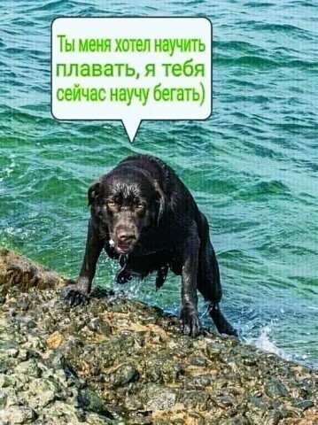 Немного картинок