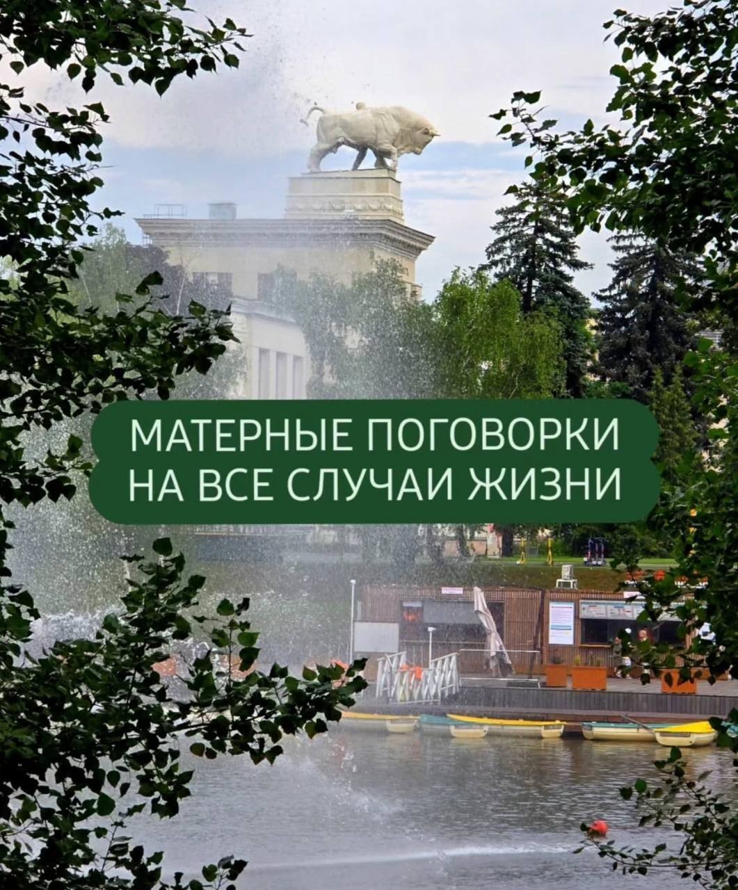 Матерные поговорки на все случаи жизни.