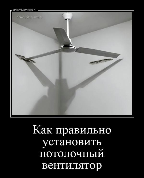 Картинки для деградации 65 (разной степени свежести)