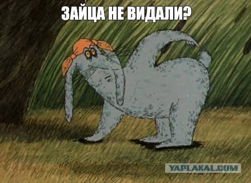 Эффект «заячьих губок»: результатами новой авторской методики поделилась косметолог-уродолог в сети