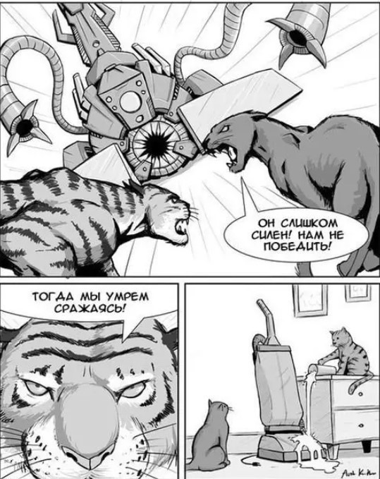 К котовторнику: подборка картинок-баянов с котиками и про котиков. Выпуск 37.