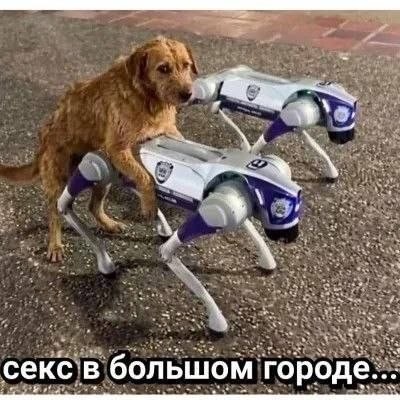Картинки