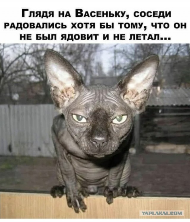 Доброе Утро!