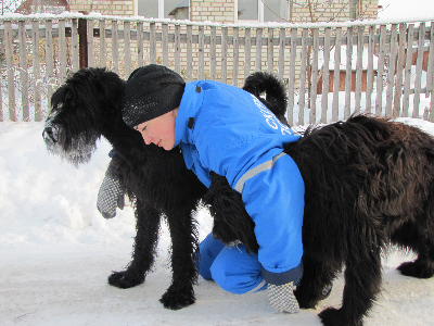 Собакочетверг на 02.01.2014