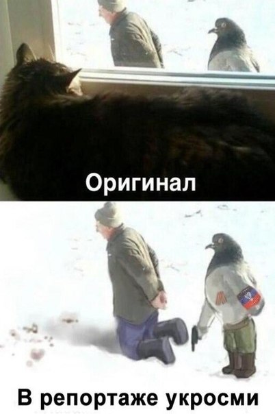 Колонна из России движется в сторону