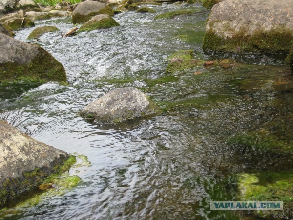 У самого синего моря. Ораниенбаум