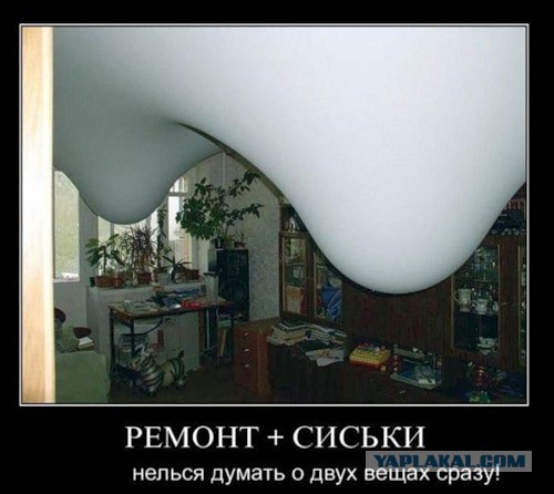 15 фактов о сиськах